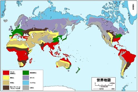 土 動物|土壌の世界